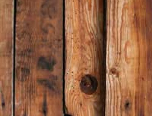 Dealing With Rotten Wood